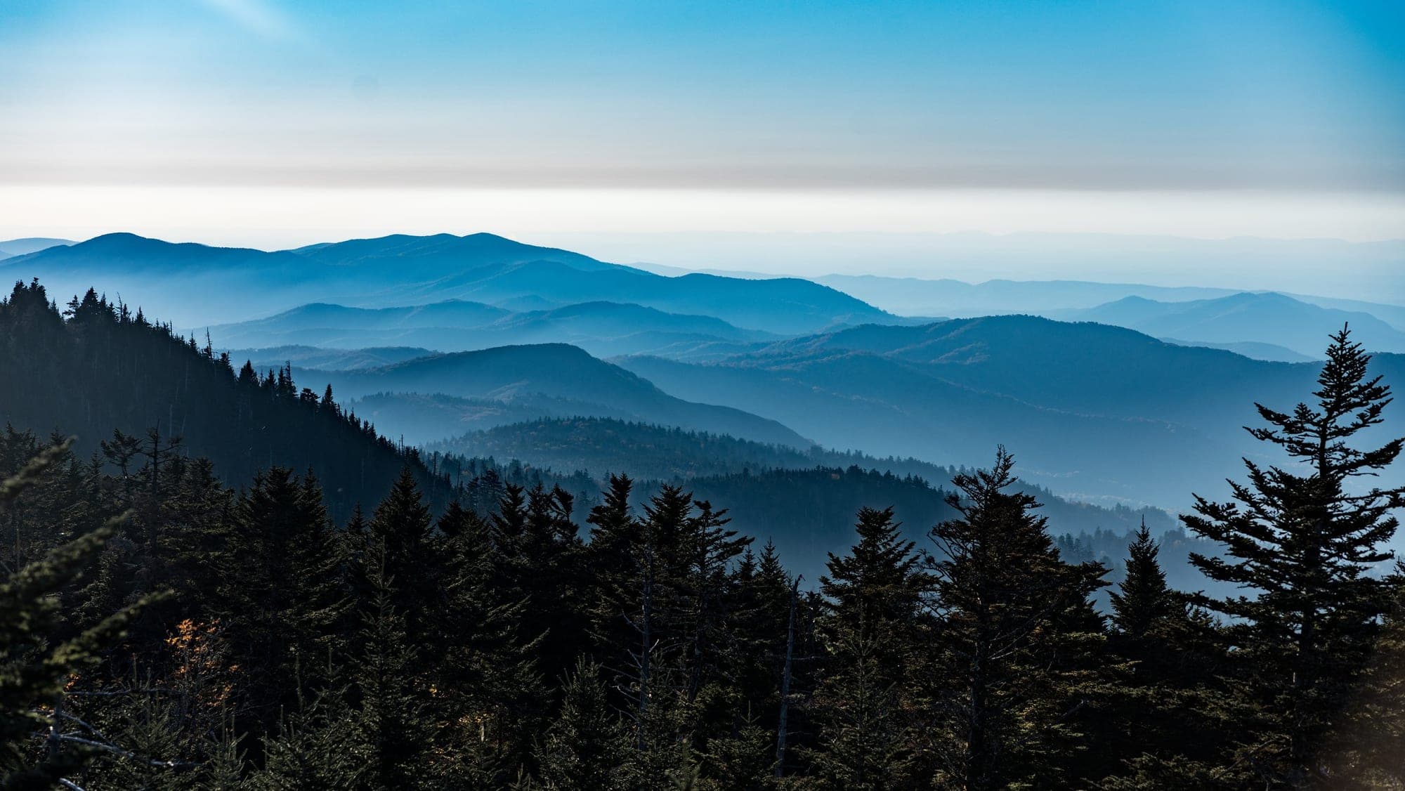 Family Trip to Smokey Mountains I snapped on my Sony a74