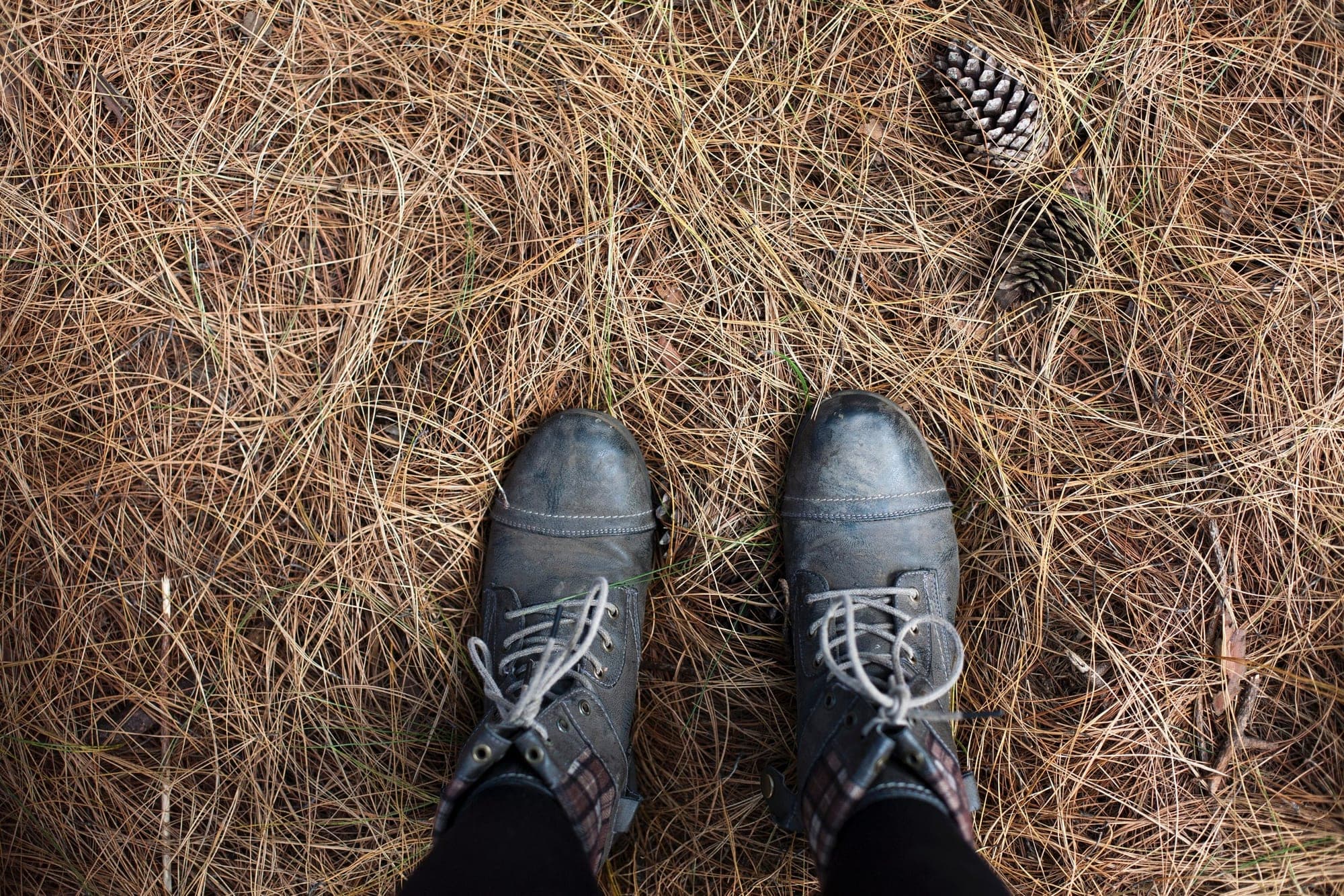 Health Tech: The Grass Isn't Always Greener on the Other Side — cover image